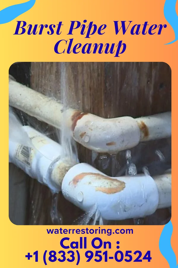 Burst Pipe Water Cleanup in Denver City, TX