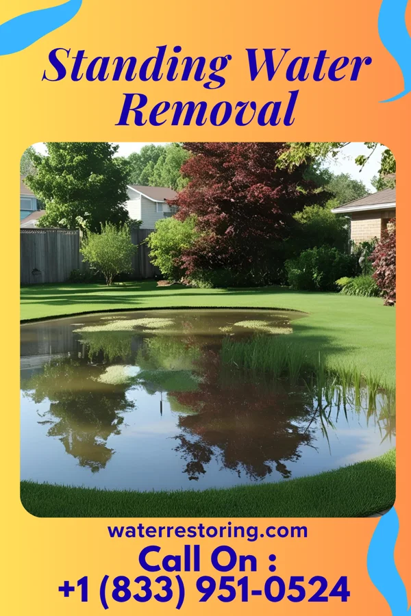 Standing Water Removal in Denver City, TX